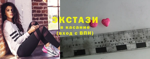гашик Богородицк