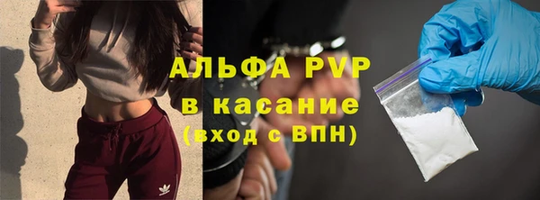spice Богданович