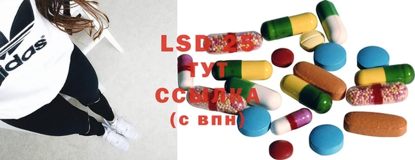 spice Богданович