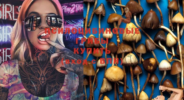 spice Богданович