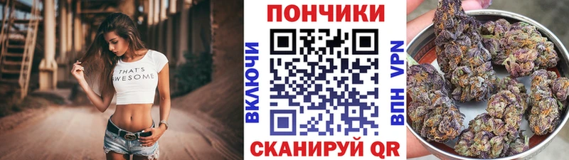 Канабис план  MEGA ONION  Вилючинск  где можно купить  